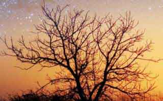 我不劝你押，爱游戏APP（爱游戏官方入口）里那张让球变化前后对不上这下，真的要留个心眼！（体育彩票）