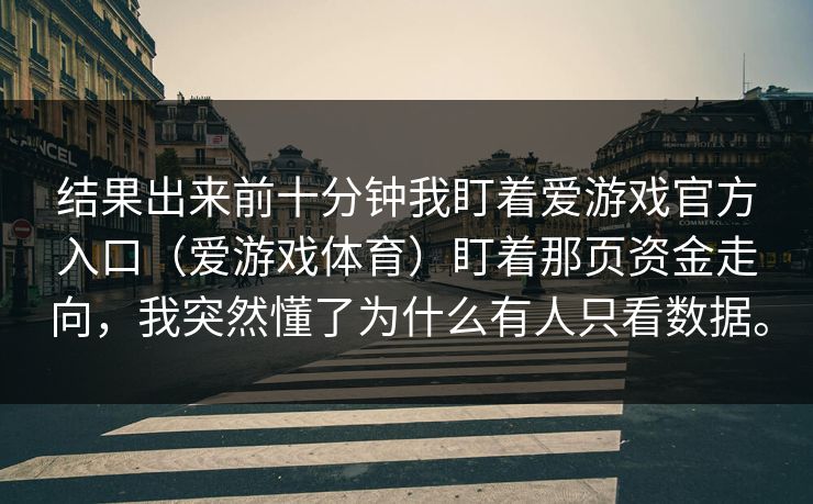 结果出来前十分钟我盯着爱游戏官方入口（爱游戏体育）盯着那页资金走向，我突然懂了为什么有人只看数据。