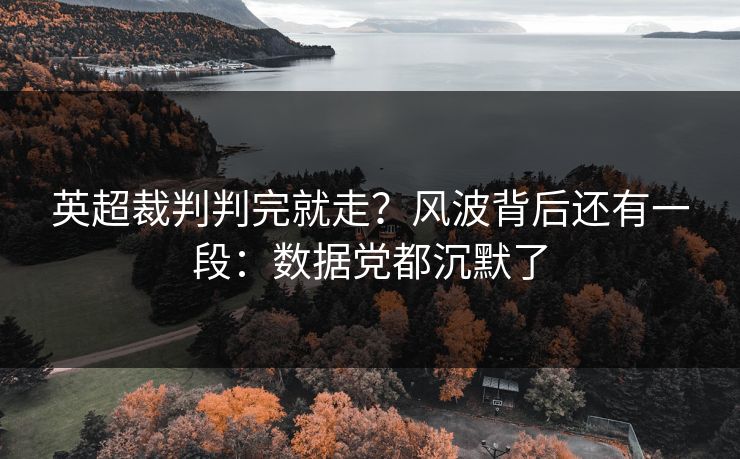 英超裁判判完就走？风波背后还有一段：数据党都沉默了