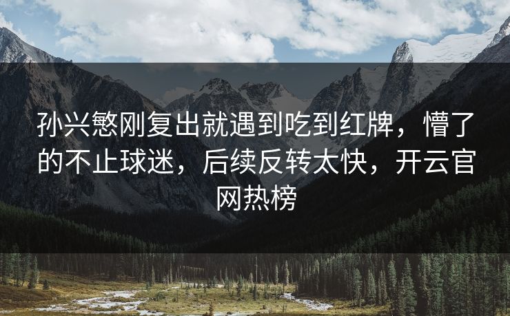 孙兴慜刚复出就遇到吃到红牌，懵了的不止球迷，后续反转太快，开云官网热榜