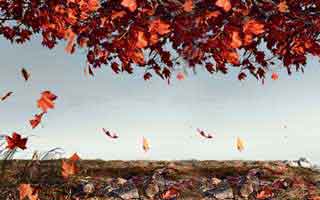 别跟风，真的：爱游戏体育官网（爱游戏官网）里那份赛程强度看着像在“诱导”之后，我才想起那条水位规则？