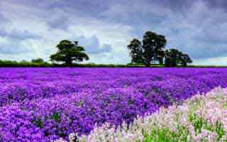 详细阅读:孙兴慜NBA表现被重新评估,赛后声音完全两极 孙兴慜NBA表现被重新评估,赛后声音完全两极