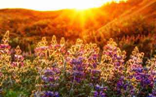 别跟风，真的：爱游戏体育官网（爱游戏官网）里那份赛程强度看着像在“诱导”之后，我才想起那条水位规则？