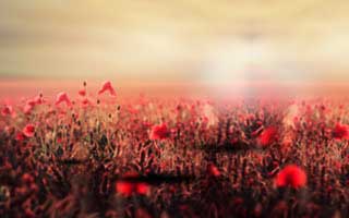 我当时就觉得不对劲：爱游戏下载后（爱游戏官方网站）的那条赔率曲线一变，我就把水位那页又翻了一遍…