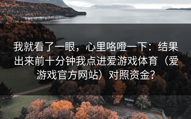 我就看了一眼，心里咯噔一下：结果出来前十分钟我点进爱游戏体育（爱游戏官方网站）对照资金？